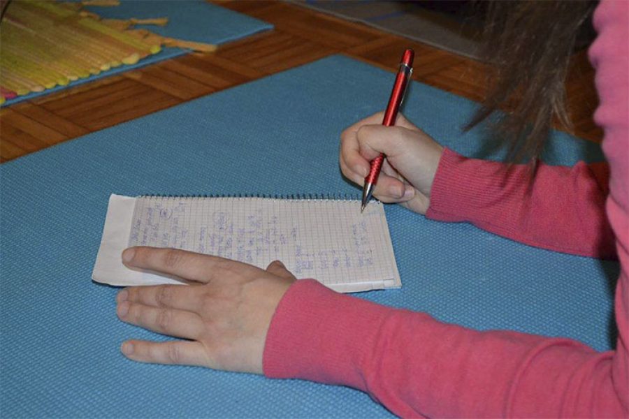 Šta nam donosi godina devetke (2016) iz ugla Đotiša